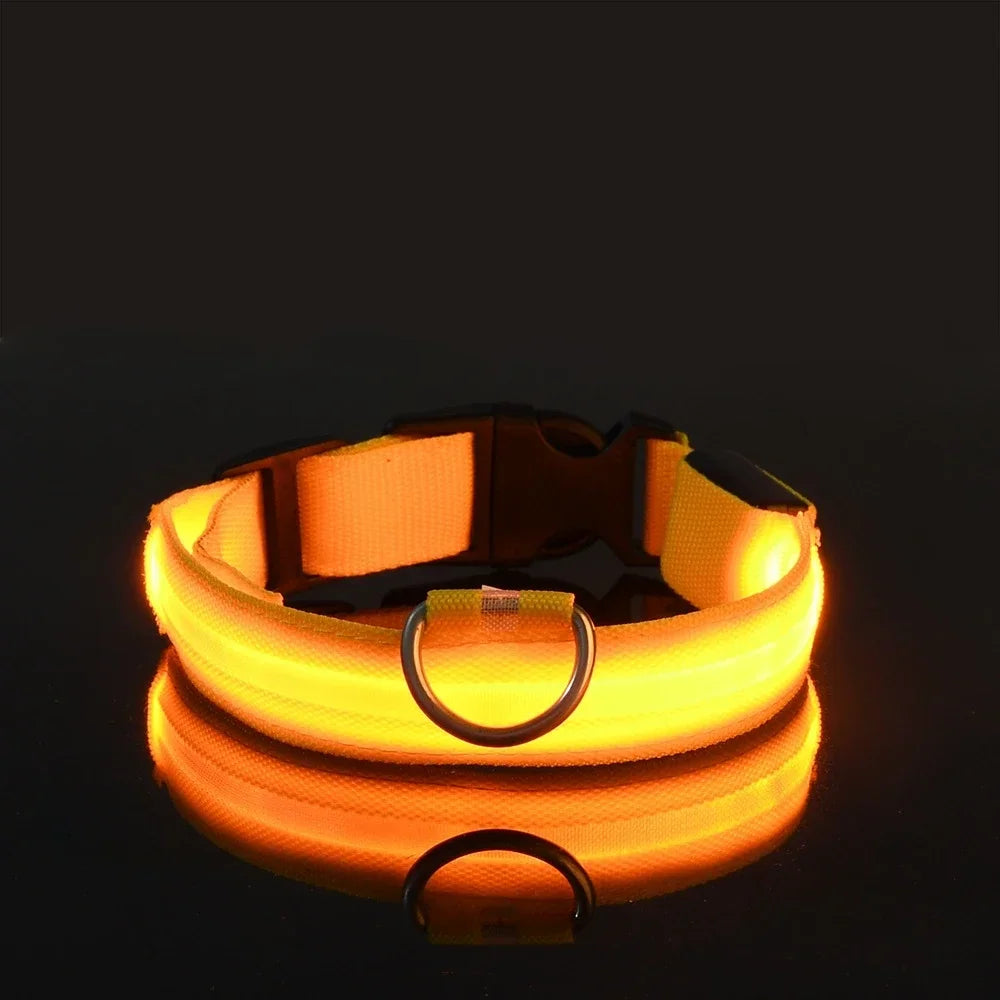 LED Nylon Dog Collar – Flashing Glow in the Dark Night Safety Collar for Dogs