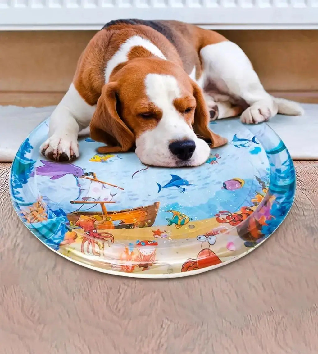 Summer Cooling Pet Water Bed Cushion Water Sensory Inflatable Play Mat Pet Cleaning Cooling Mat Pet Supplies Top Quality Cool