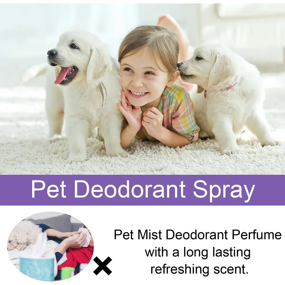 Lavender Pet Deodorizer Spray for Dogs and Cats – Long Lasting Odor Remover & Fresh Scent Perfume Spray 50ml