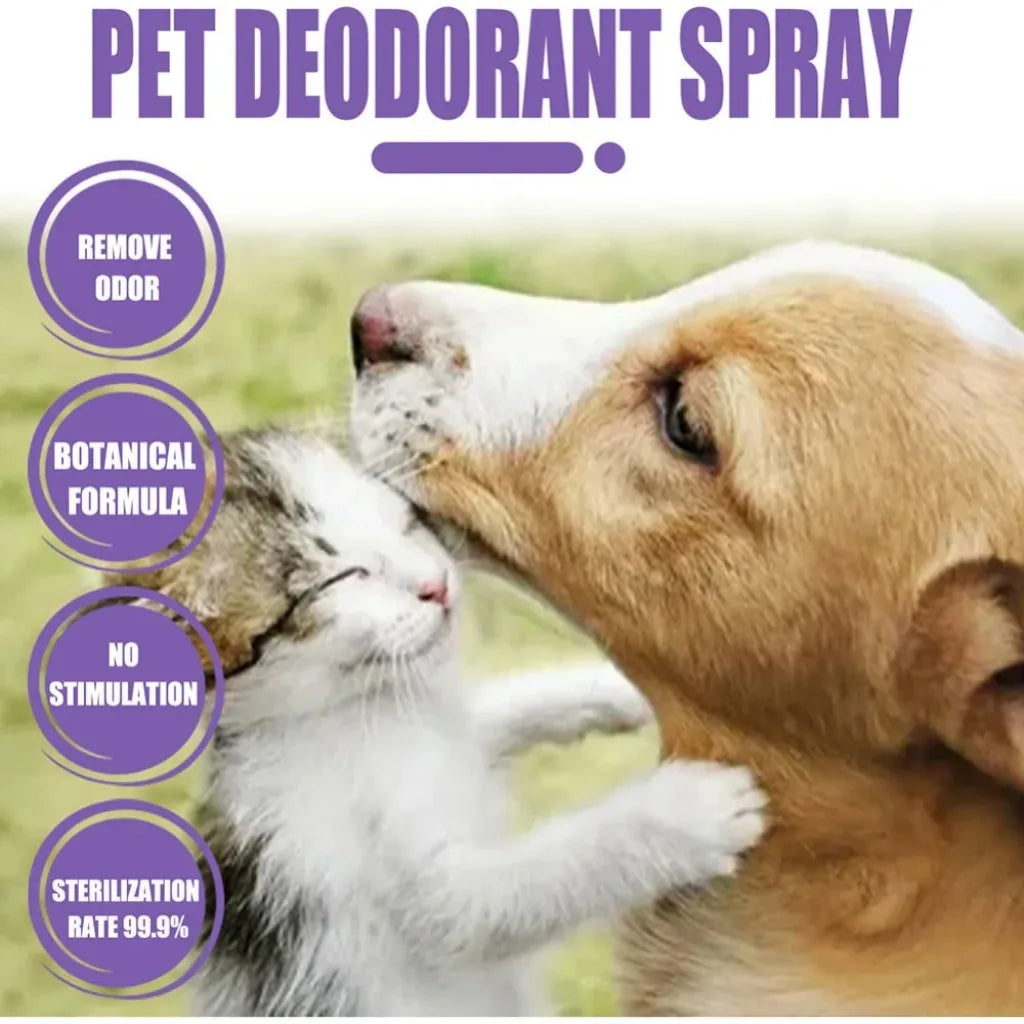 Dog Deodorizer Spray 300ml – Long Lasting Pet Perfume & Odor Remover for Dogs, Puppies & Cats