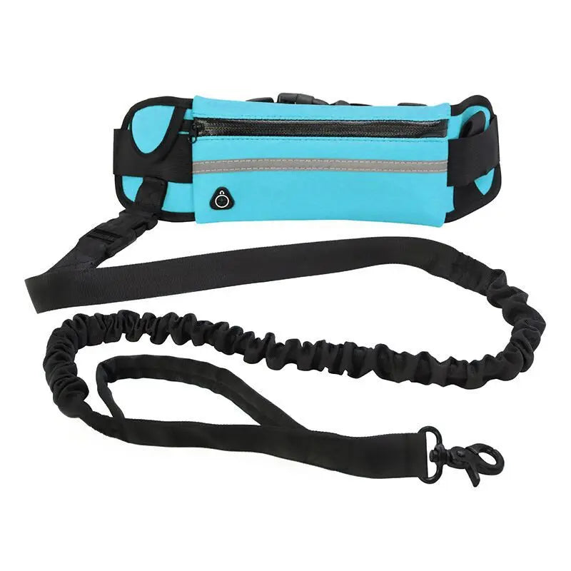 Hands Free Reflective Dog Leash with Waist Bag – Adjustable Retractable Bungee Running & Walking Leash for Dogs