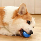 Automatic Moving Dog Ball Toy – USB Rechargeable Interactive Rolling & Bouncing Ball for Puppies and Dogs