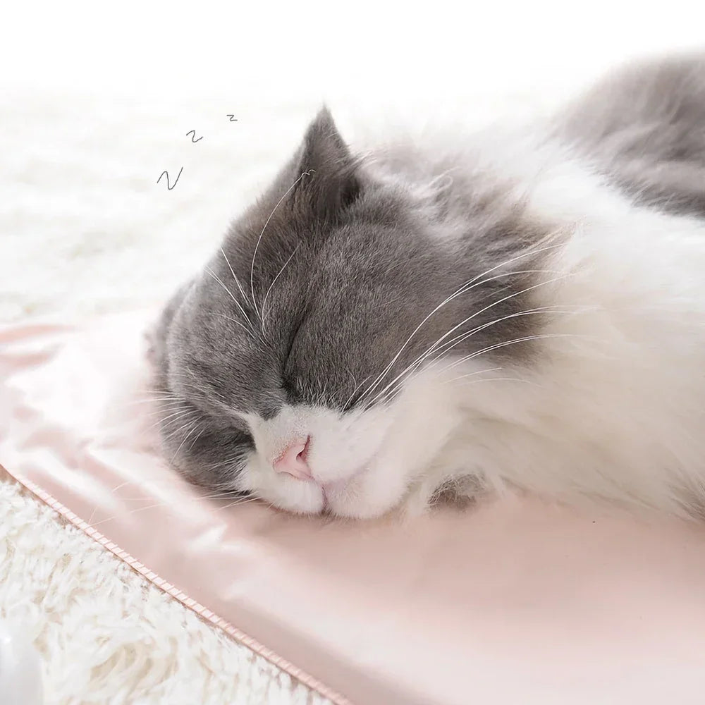 Waterproof Pet Heating Pad for Dogs and Cats | Electric Winter Heated Mattress with Temperature Control