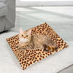 USB Pet Heating Pad Soft Plush Electric Blanket for Dogs and Cats | Washable Warm Bed Mat for Winter Puppies and Kittens