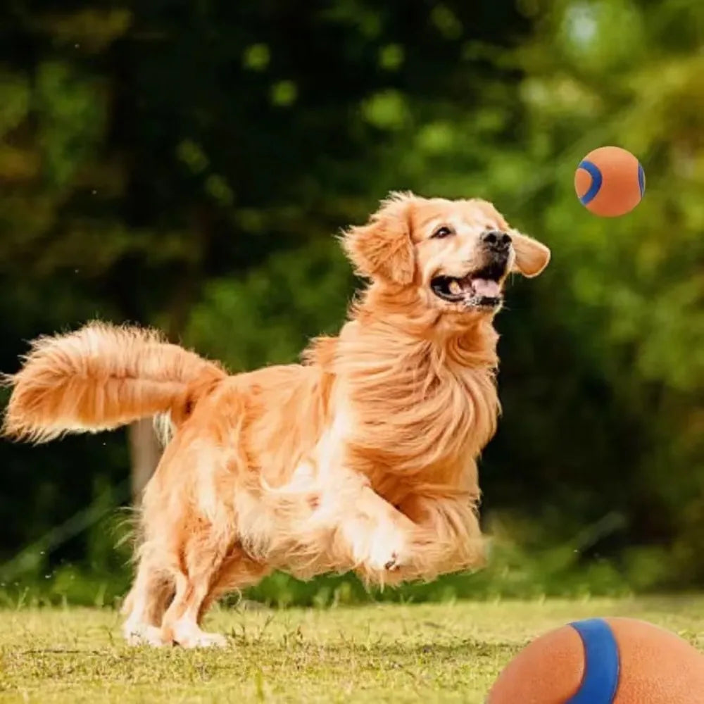 Dog Fetch Ball Toy – Tough Rubber Chew & Elastic Jumping Ball for Large, Medium and Small Dogs