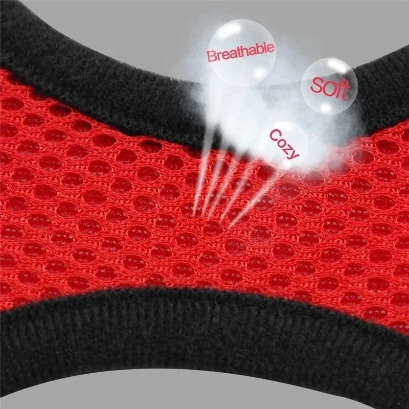 Adjustable Cat and Dog Harness Vest with Leash | Breathable Reflective Mesh Walking Harness for Small Medium Pets