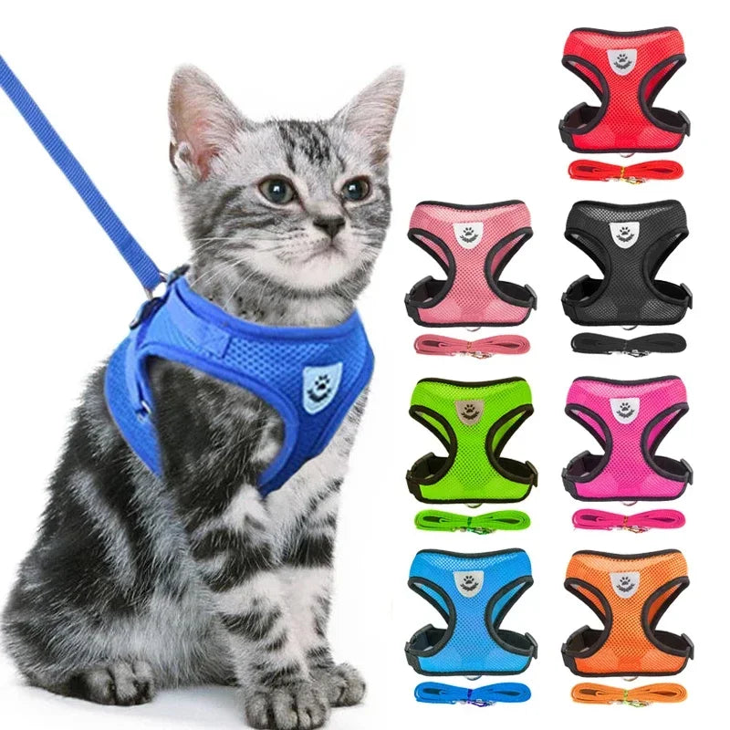 Adjustable Cat and Dog Harness Vest with Leash | Breathable Reflective Mesh Walking Harness for Small Medium Pets