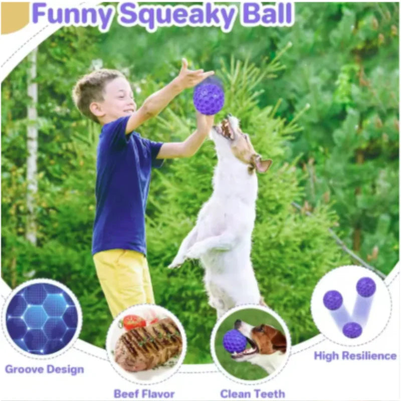 Indestructible Rubber Ball Dog Toy – Interactive Chew & Teeth Cleaning Toy