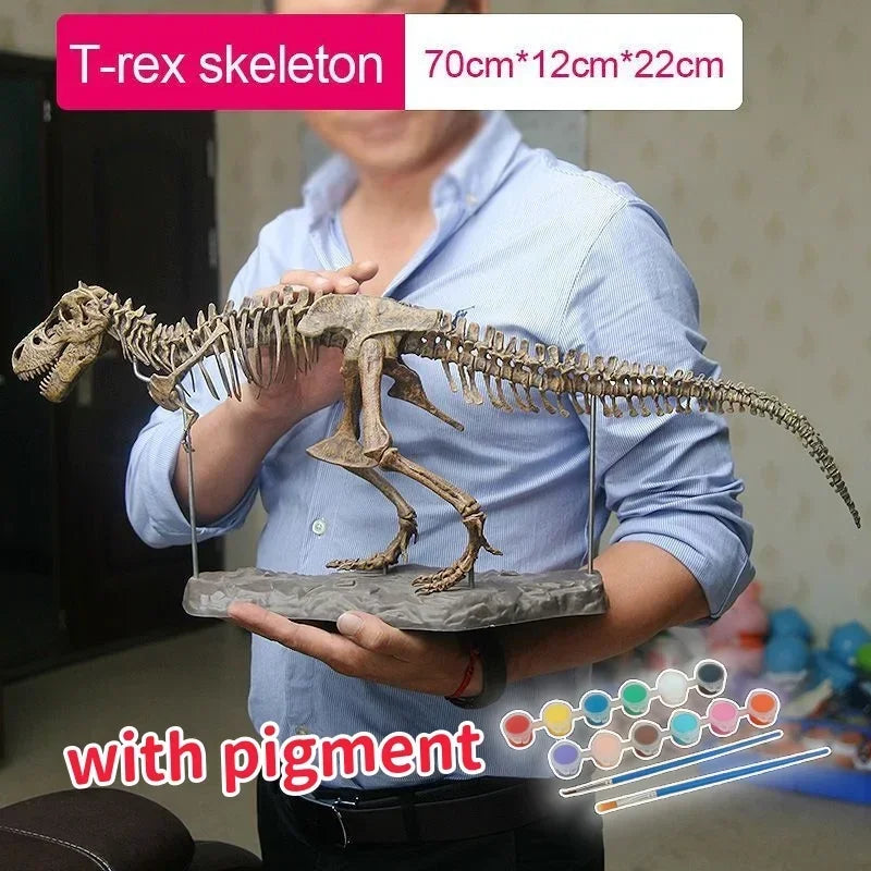 70cm DIY T-Rex Dinosaur Skeleton Model – Jurassic Fossil Assembly Ornament