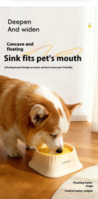 Floating Slow Feeder Dog Water Bowl – Anti-Spill & Anti-Wet Chin Design