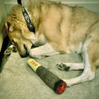 Funny Cigar Plush Dog Toy – Interactive Squeaky Chew Toy for Dogs