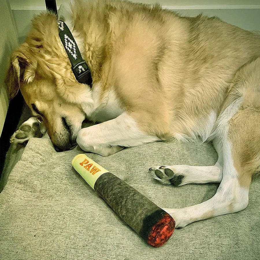 Funny Cigar Plush Dog Toy – Interactive Squeaky Chew Toy for Dogs