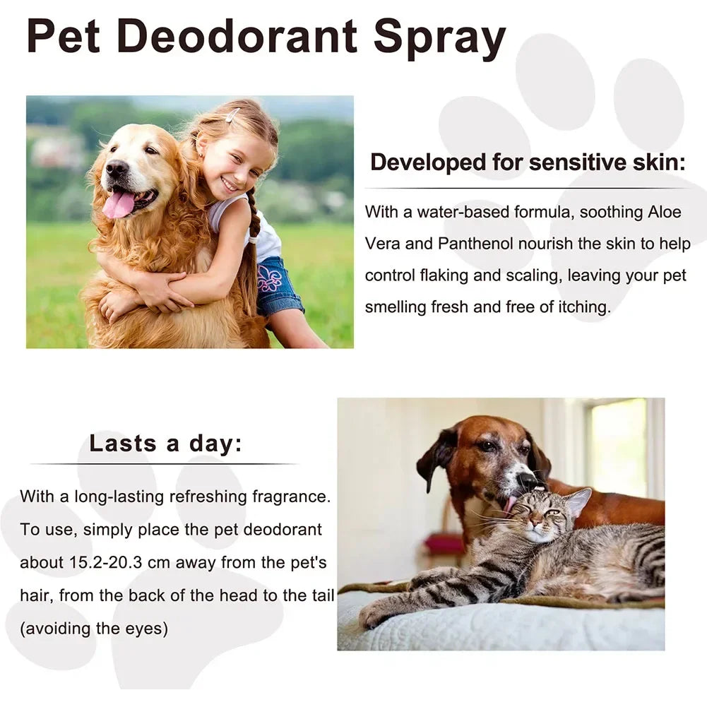 Lavender Pet Deodorization Spray 50ml – Natural Dog and Cat Perfume, Odor Remover & Coat Freshener