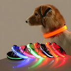 LED Nylon Dog Collar – Flashing Glow in the Dark Night Safety Collar for Dogs