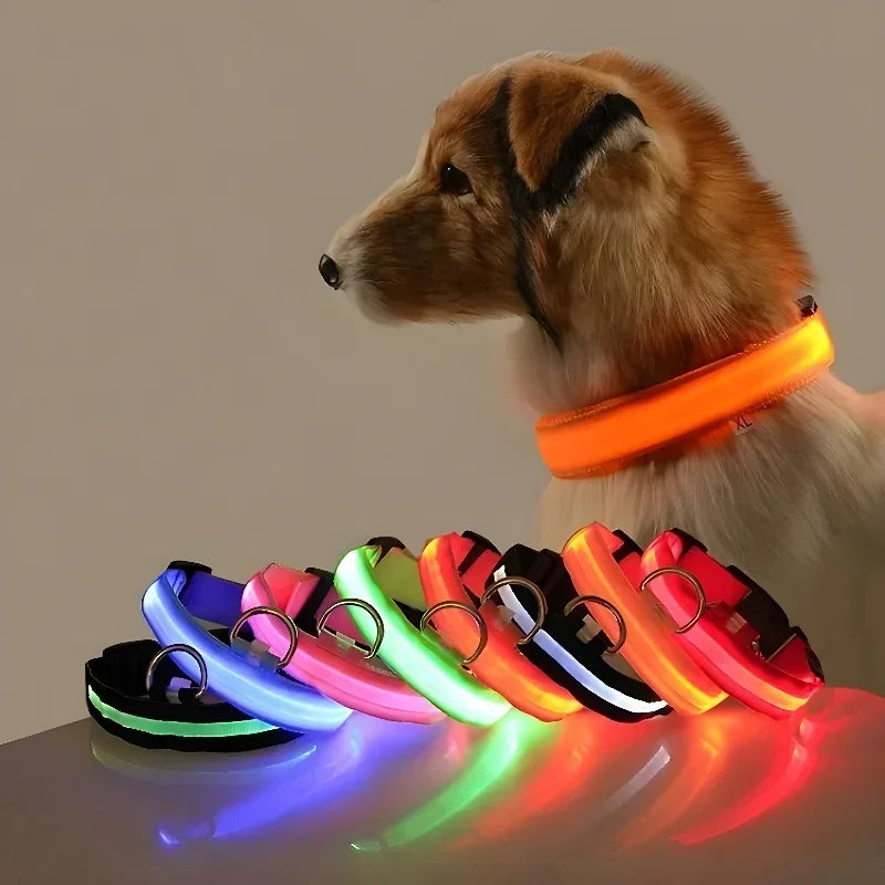 LED Nylon Dog Collar – Flashing Glow in the Dark Night Safety Collar for Dogs