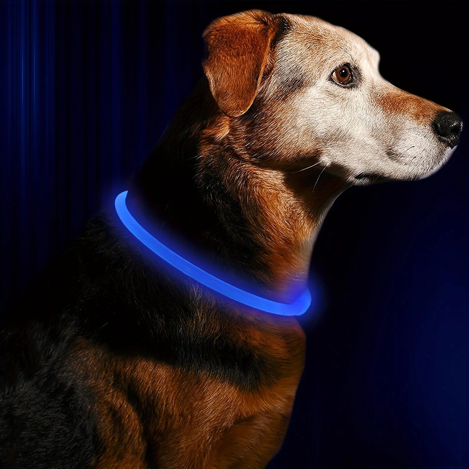 USB Rechargeable LED Dog Collar – Luminous Reflective Anti-Lost Pet Collar for Dogs