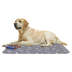 Reusable Puppy Pee Pad 60×40cm | Leak-Proof Absorbent Dog and Cat Training Mat for Home and Travel