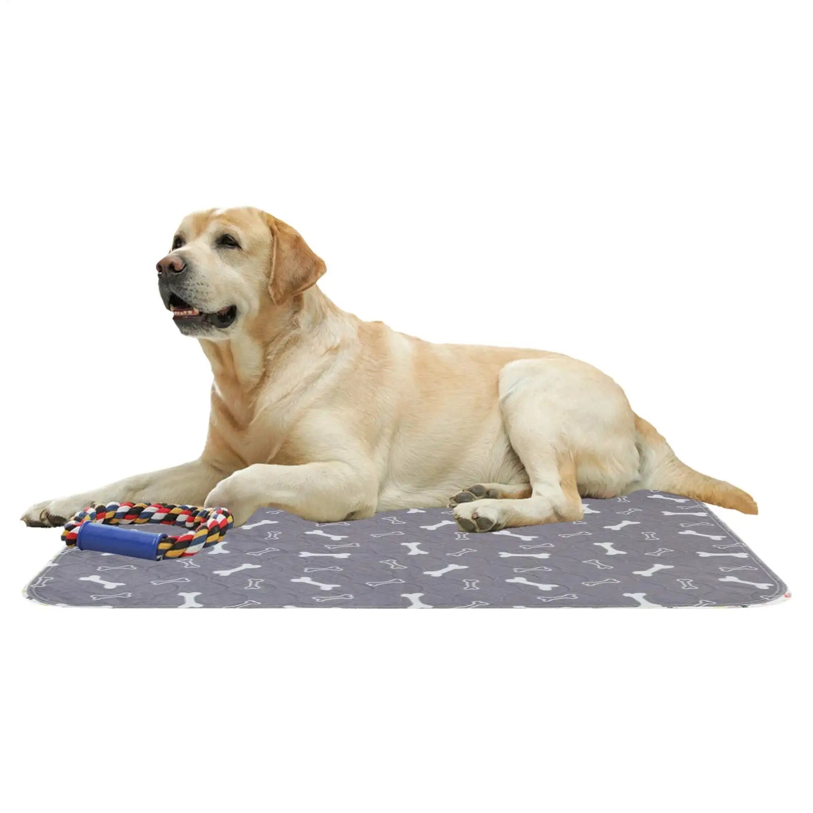 Reusable Puppy Pee Pad 60×40cm | Leak-Proof Absorbent Dog and Cat Training Mat for Home and Travel