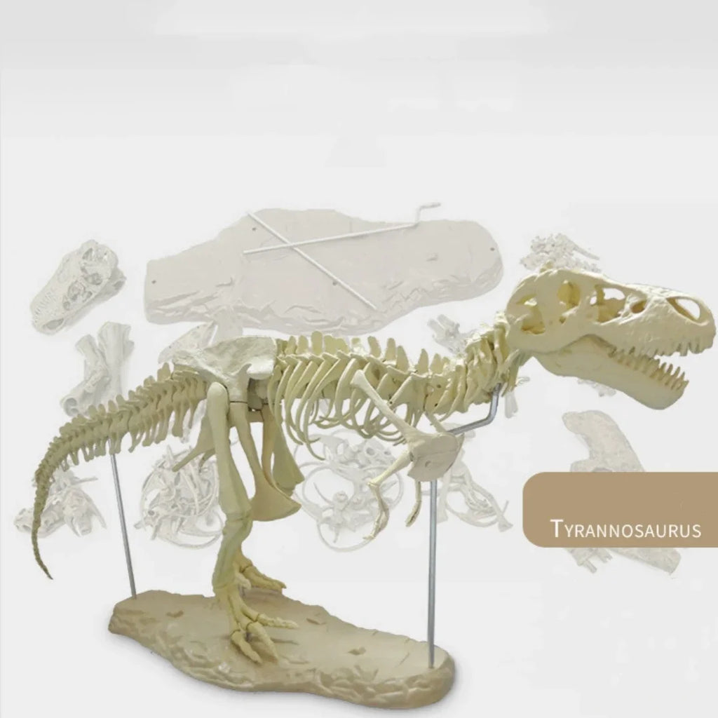 70cm DIY T-Rex Dinosaur Skeleton Model – Jurassic Fossil Assembly Ornament
