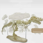 70cm DIY T-Rex Dinosaur Skeleton Model – Jurassic Fossil Assembly Ornament