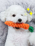 Hand-Woven Cotton Rope Knot Dog Toy – Bite Resistant Teeth Cleaning Chew Toy for Small and Medium Dogs