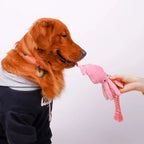 Octopus Plush Rope Dog Toy – Bite Resistant Interactive Squeaky Chew Toy for Small Medium Large Dogs