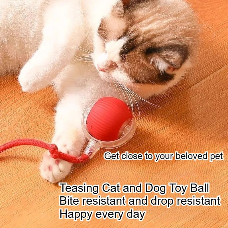 Interactive Dog and Cat Ball Toy with Rope – Durable Self Entertainment Jumping Pet Teaser Ball
