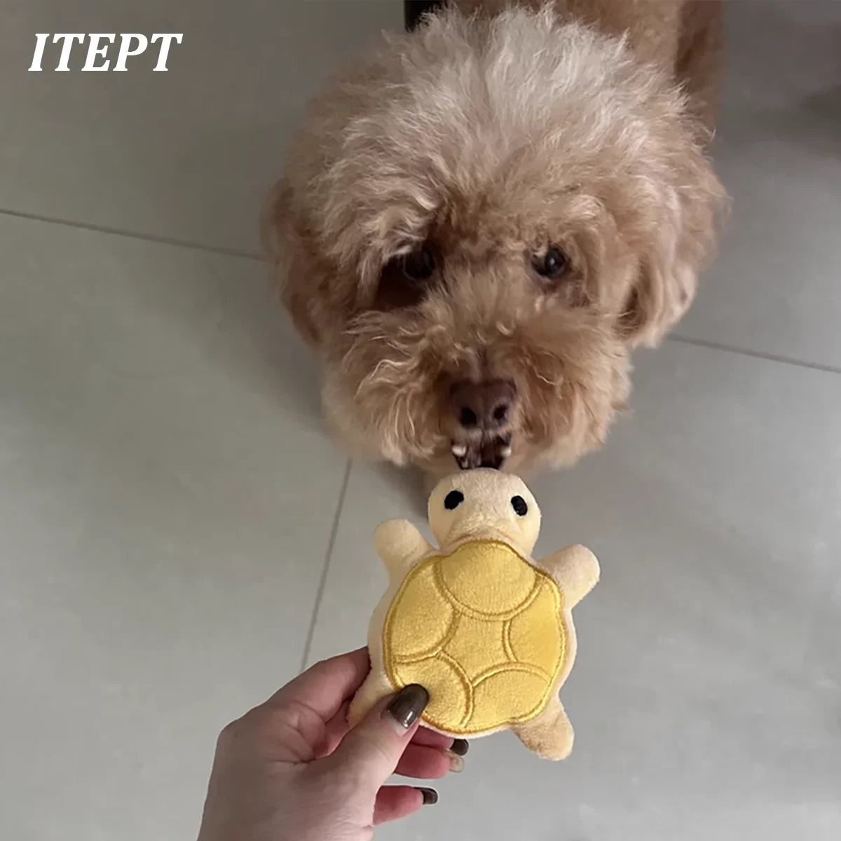 Mini Turtle Plush Dog Toy – Soft Chew Toy for Puppies, Teething & Interactive Play