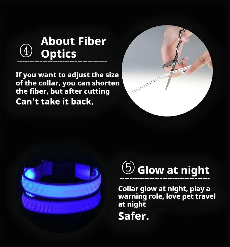 LED Nylon Dog Collar – Flashing Glow in the Dark Night Safety Collar for Dogs