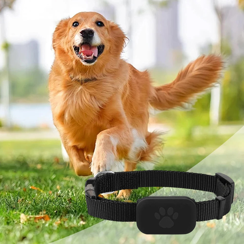 Smart Pet GPS Tracker Collar for Dogs & Cats | FindMy App Compatible Anti-Lost Locator for iOS & Android