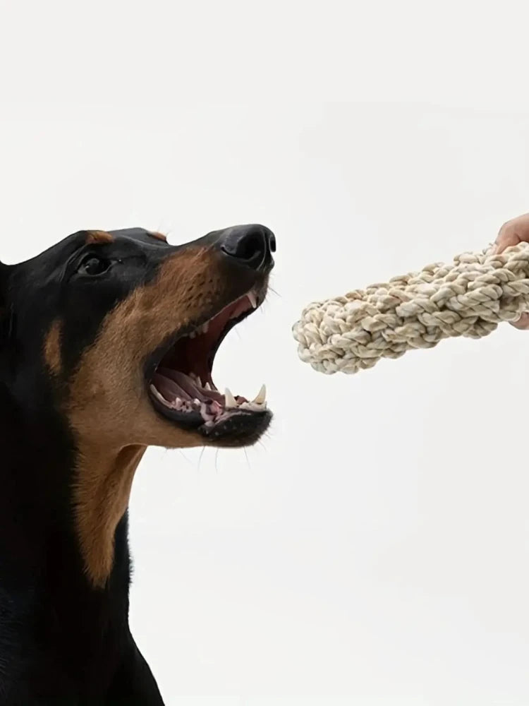 Durable Pet Dog Rope Toy – Bite Resistant Interactive Chew Toy for Medium and Large Dogs