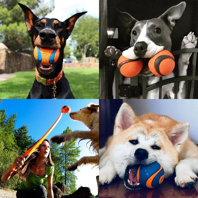 Dog Fetch Ball Toy – Tough Rubber Chew & Elastic Jumping Ball for Large, Medium and Small Dogs
