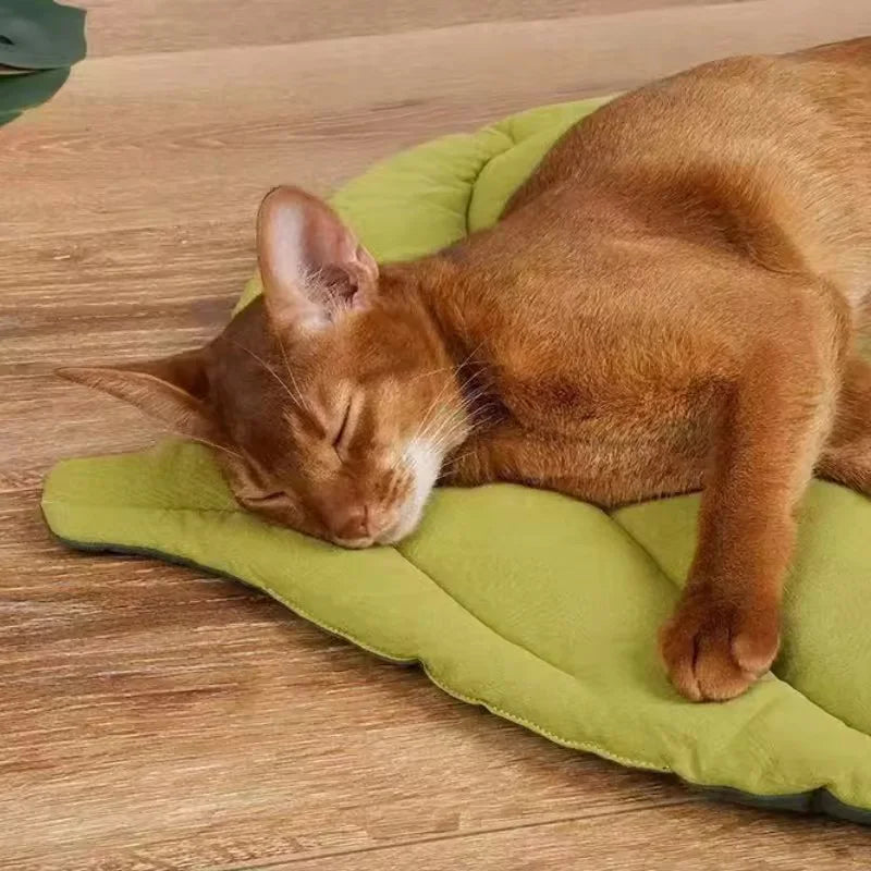 Leaf Shaped Cotton Pet Bed Mat – Soft Washable Cat and Dog Sleeping Pad