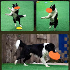 Durable Dog Frisbee Toy – Soft TPR Flying Disc for Fetch, Training, Outdoor Play & Water Games