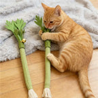 Catnip Cat Chew Toy – Interactive Teeth Cleaning & Self-Play Molar Stick