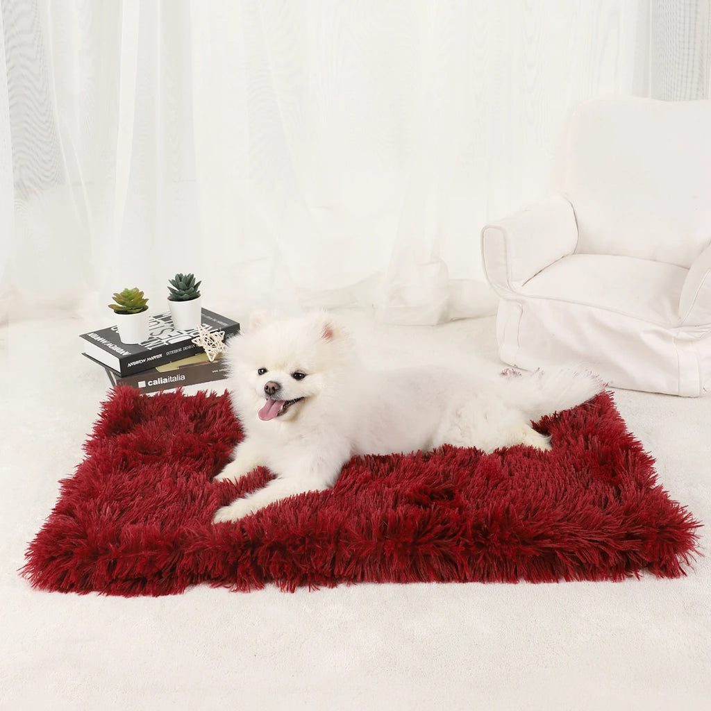 Plush Dog Blanket and Warm Pet Bed for Small Medium Large Dogs and Cats | Washable Puppy Sleeping Mat