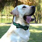 Christmas Plaid Dog Collar with Bow Tie and Snowflake Design | Adjustable Holiday Pet Collar for Small Large Dogs and Cats