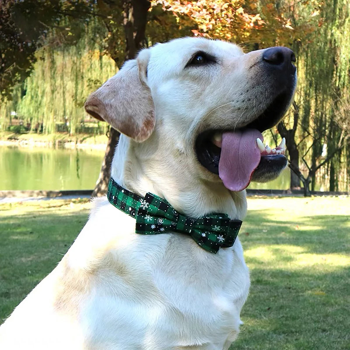 Christmas Plaid Dog Collar with Bow Tie and Snowflake Design | Adjustable Holiday Pet Collar for Small Large Dogs and Cats