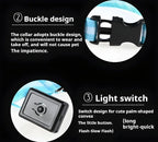 LED Nylon Dog Collar – Flashing Glow in the Dark Night Safety Collar for Dogs