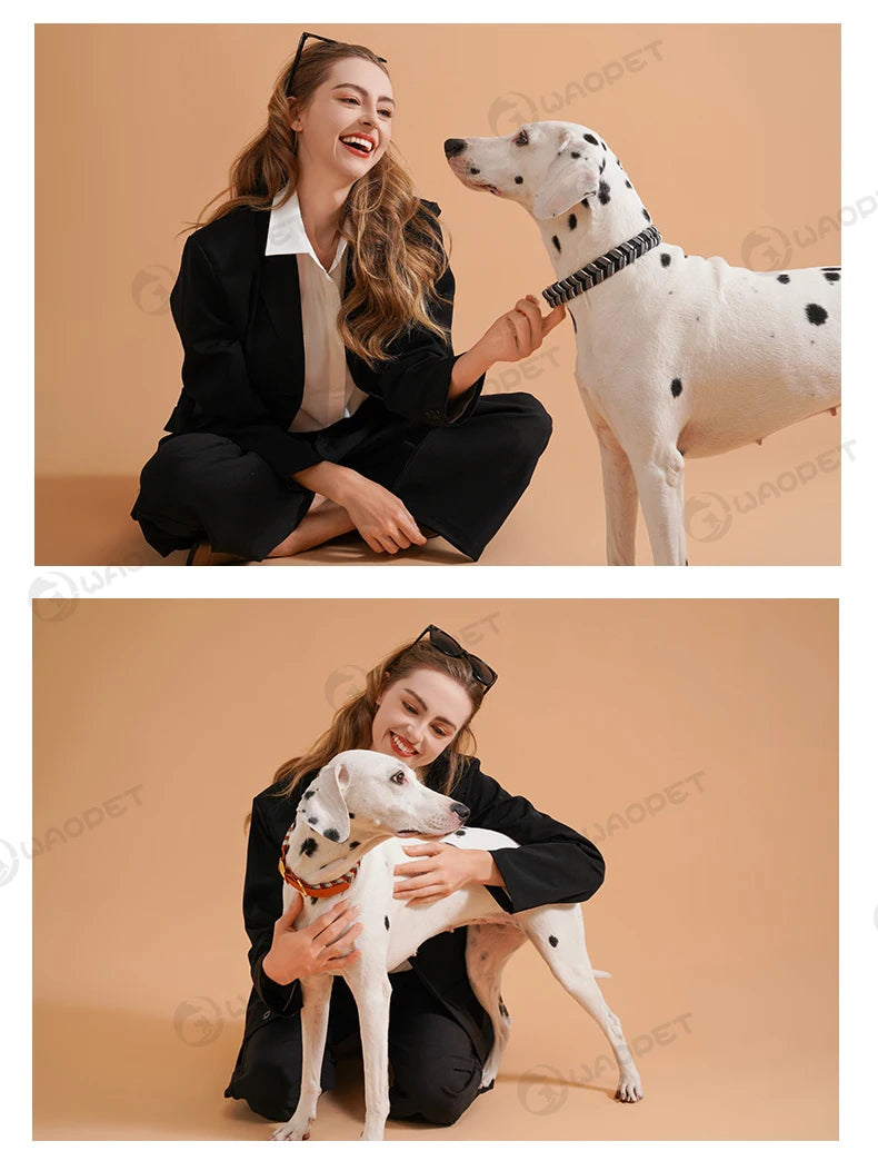 Handmade Fashion Dog Collar for Small Medium and Large Dogs – Colorful Reflective Pet Neck Collar