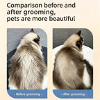 dog brush double-sided hair removal comb and hair removal tool used to remove mats and tangles the best pet grooming brush