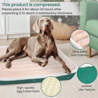 Washable Memory Foam Dog & Cat Bed Mat – Calming Pet Mattress with Removable Cover & Non-Slip Bottom