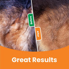 3-in-1 Pet Deshedding Brush | Dog & Cat Hair Remover, Knot Cutter & Grooming Comb