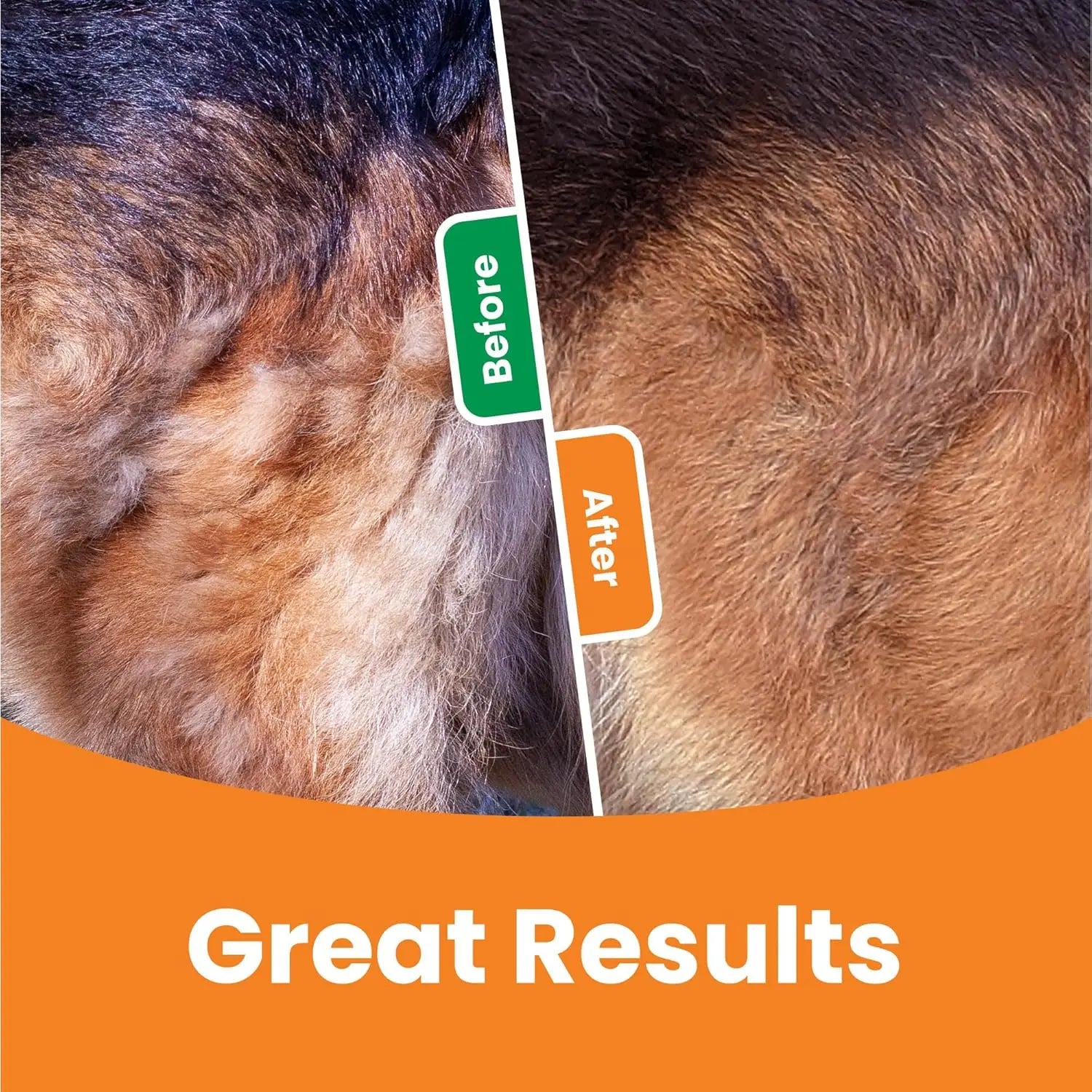 3-in-1 Pet Deshedding Brush | Dog & Cat Hair Remover, Knot Cutter & Grooming Comb