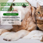 Pet Toilet Training Spray 30ml – Puppy Potty Training Aid & Designated Toilet Area Encouragement Spray for Dogs and Cats