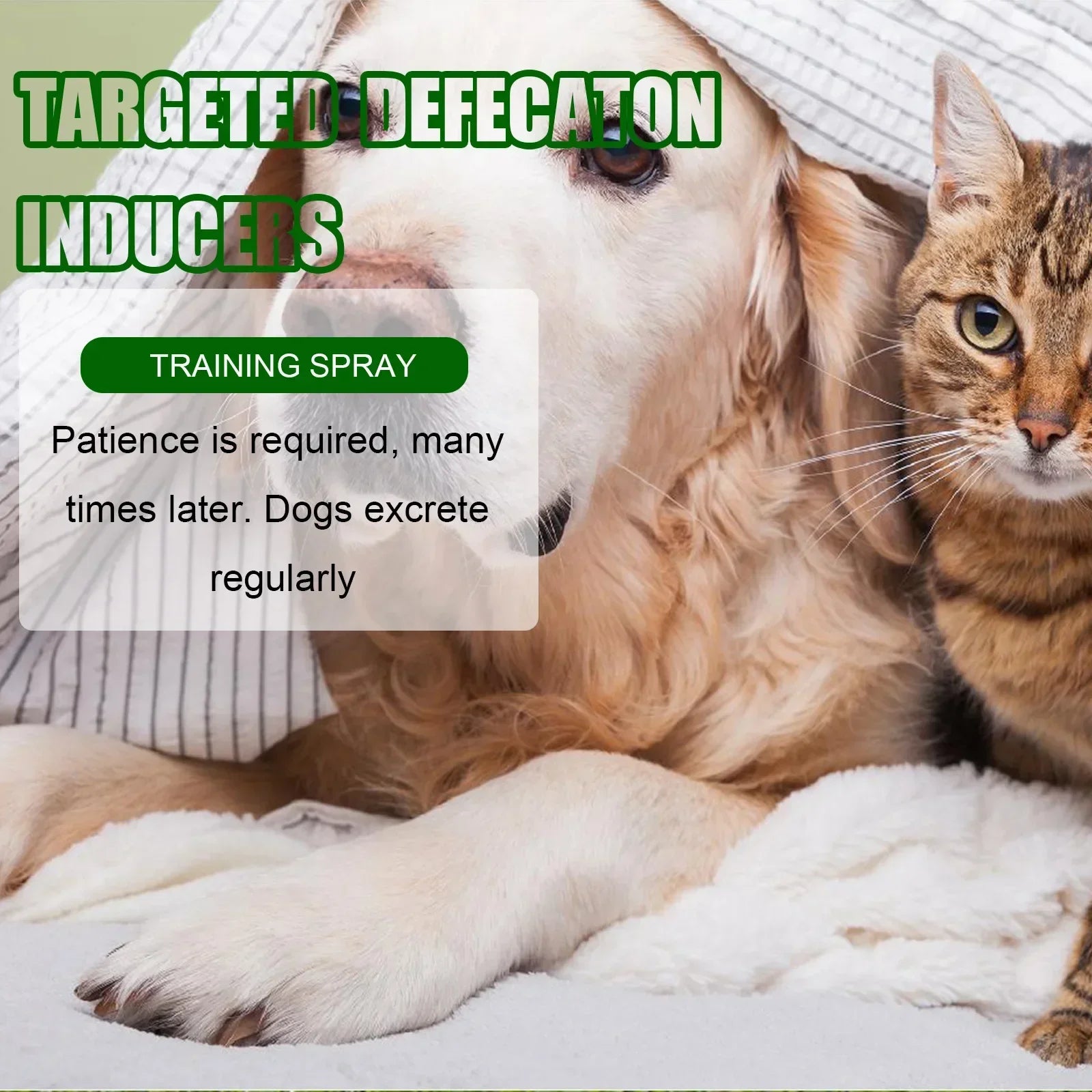 Pet Toilet Training Spray 30ml – Puppy Potty Training Aid & Designated Toilet Area Encouragement Spray for Dogs and Cats