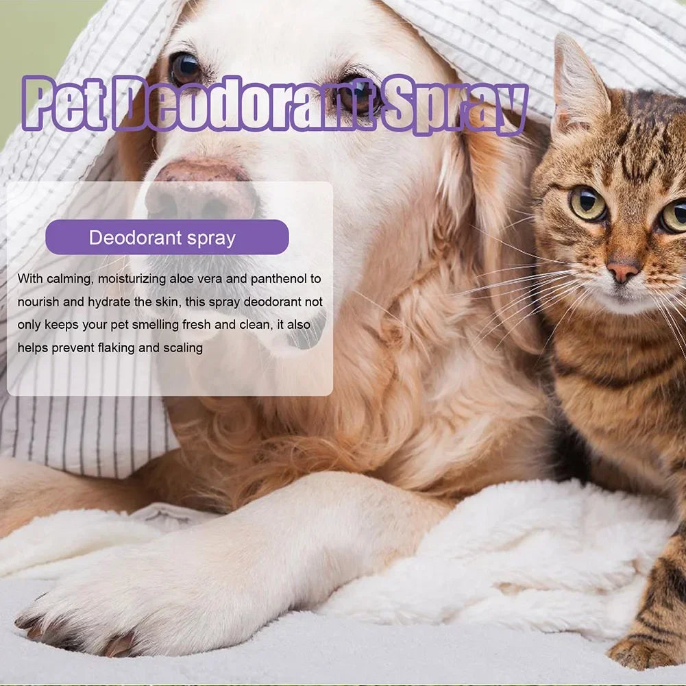 Lavender Pet Deodorization Spray 50ml – Natural Dog and Cat Perfume, Odor Remover & Coat Freshener