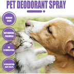 Lavender Pet Deodorizer Spray for Dogs and Cats – Long Lasting Odor Remover & Fresh Scent Perfume Spray 50ml