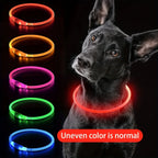 USB Rechargeable LED Dog Collar – Luminous Reflective Anti-Lost Pet Collar for Dogs