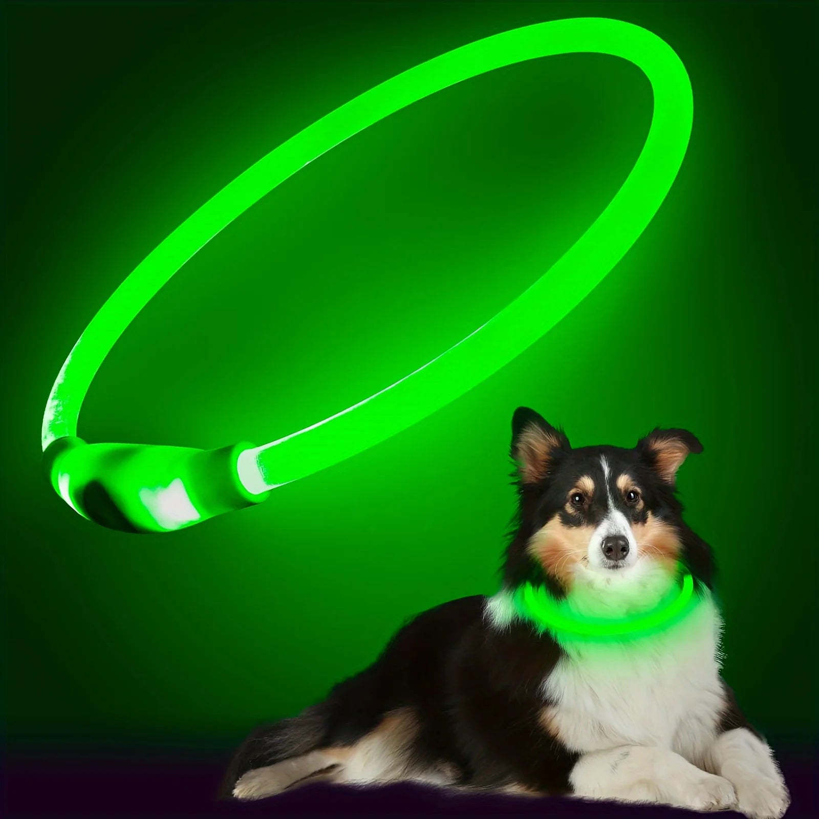 USB Rechargeable LED Dog Collar – Luminous Reflective Anti-Lost Pet Collar for Dogs